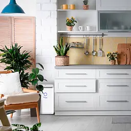 Осушувач повітря Mycond Roomer Smart 25 - мініатюра 13