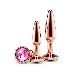 Набор анальных пробок NS Novelties Rear Assets - Tapered Trainer Kit - Rose Gold