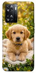 TPU чохол Demsky Small labradore для Oppo A57s