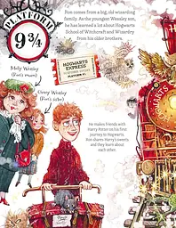 Pocket Potters: Ron Weasley - Ролінґ Джоан - мініатюра 2