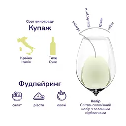 Вино Cesari Soave Essere, біле, сухе, 11,5%, 1,5 л (Q2452) - мініатюра 4