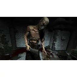 Ключ активації Microsoft Outlast: Bundle of Terror для Xbox One/Series - мініатюра 10