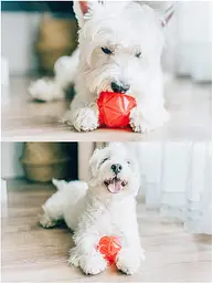 М'ячик для собак, що світиться Diamond Shape Elastic Squeaky Dog Ball з пищалкою - мініатюра 4