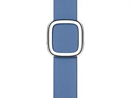 Ремінець Apple Azure Modern Buckle Small для Watch 38/40/41mm (MP8G3)