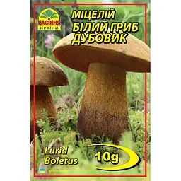 Білий гриб Дубовик 10 г