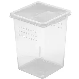 Тераріум, фаунаріум Terrario Insect Box High 9x9x11см - мініатюра 1