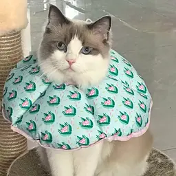 Ветеринарний комір для котів і собак Derby Elizabeth Collar DC0188-09, XS - мініатюра 5
