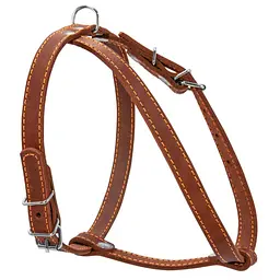 Шлея одинарна CoLLaR для дрібних порід собак
