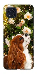 TPU чохол Demsky Flower spaniel для Samsung Galaxy M32