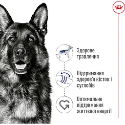 Сухий корм Royal Canin Maxi Adult для дорослих собак великих порід з м'ясом птиці та кукурудзою 15 кг - мініатюра 3