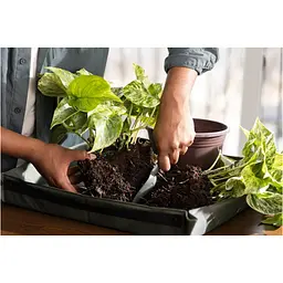 Набір інструментів Fiskars Plant Care для догляду за ґрунтом 3 предмети (1080777) - мініатюра 4