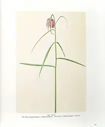 Flowers! In the Art of the 20th and 21st Centuries (Bilingual edition) - мініатюра 4