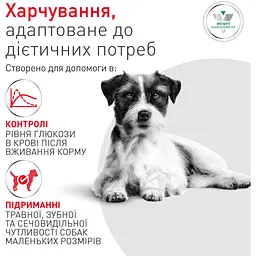 Сухий корм для собак малих порід Royal Canin Glycobalance Small при цукровому діабеті 1.5 кг - мініатюра 2