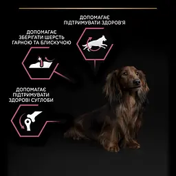 Сухий корм Purina Pro Plan Small & Mini Adult 1+ Sensitive Skin для дорослих собак дрібних порід з чутливою шкірою з лососем 3 кг (12272215) - мініатюра 8