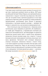 Фізика. Молекулярна будова речовини і теплові явища. Том 2 - Павло Віктор - мініатюра 5