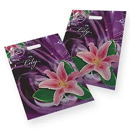 Пакет із прорізною ручкою ламінований "Lily" (30х40) 50 шт. - мініатюра 2