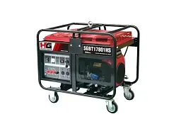 Бензиновий генератор DaiShin SGB12000HSa