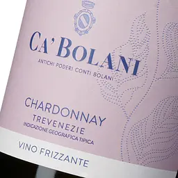 Вино ігристе Tenuta Ca'Bolani Chardonnay Frizzante біле сухе 10.5% 0.75 л - мініатюра 5