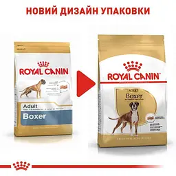 Сухий корм для дорослих собак породи Боксер Royal Canin Boxer Adult, 12 кг (2588120) - мініатюра 2