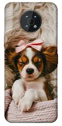TPU чохол Demsky Sleepy spaniel для Nokia G50