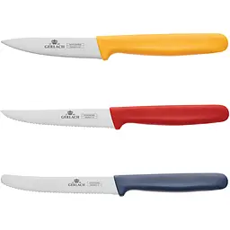 Набір з 3 кухонних ножів Gerlach Smart Color (5901035510869)