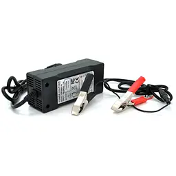 Зарядний пристрій Merlion для акумуляторів LiFePO4 12V(14,6V),4S,5A-60W + крокодили,BOX - мініатюра 1