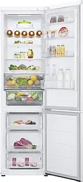 Холодильник LG GW-B509FVFW - мініатюра 8