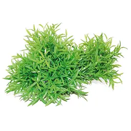 Рослина в акваріум 30 x 16 см штучна Croci BAMBOO