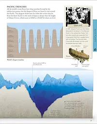 Ocean. A Children's Encyclopedia - мініатюра 5