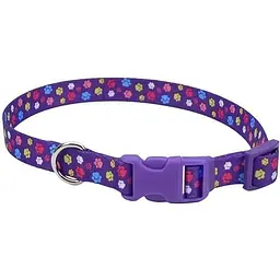Нашийник для собак Coastal Pet Attire Style 2,5 х 46-66см