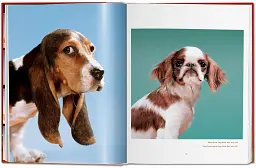 Chandoha. Dogs. Photographs 1941–1991 - мініатюра 4
