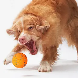 Розумний м'ячик для собак Cheerble Wicked ball AIR CWQ01 Orange [150919] - мініатюра 6