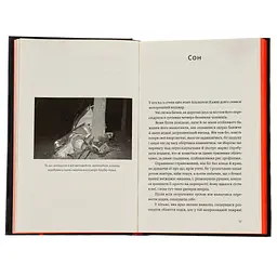 Книга Камю має померти - Джованні Кателлі Видавництво Старого Лева (9789664481028) - мініатюра 7