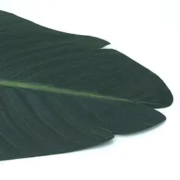 Штучне листя Engard Banana Tree 92 см (TW-52) - мініатюра 4