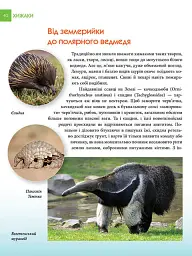 Енциклопедія для допитливих А5 : Хижаки (Українська, 01 КРЕЙДОВАНИЙ ) - мініатюра 6