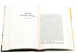 Сенйор Ніколо - Юрій Косач | А-БА-БА-ГА-ЛА-МА-ГА, книга українською, нова, тверда - мініатюра 2