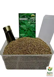 Насіння Agro-Market Шпинат Застольний на вагу ціна за 7 г (13356) - мініатюра 4