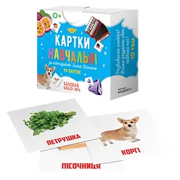 Картки навчальні Глена Домана №4 Майстер MKD0011 укр