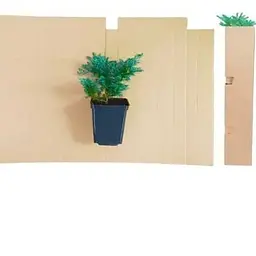 Саджанець Agro-Market Ялівець лускатий Blue Carpet горщик Р9 (25051) 1 шт. в упаковці - мініатюра 3