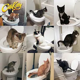 Система привчання котів до унітазу Туалет для кота Citi Kitty Cat Toilet Training - мініатюра 5