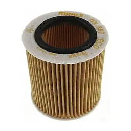 Фільтр масляний Mahle OX387D1ECO