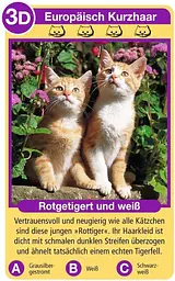 Карткова гра Породи котів Ravensburger Tierquartett Katzen німецька версія 32 породи котів 3–6 гравців (SKU-217) - мініатюра 2