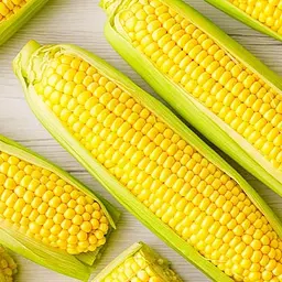 Насіння кукурудзи Цукрової 5 г (Насіння країни) - мініатюра 2