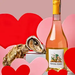Вино ігристе Contos da Terra Brut біле брют 0.75 л 11.5% - мініатюра 2