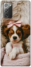 TPU чохол Demsky Sleepy spaniel для Samsung Galaxy Note 20