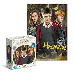 Пазл класичний Harry Potter. Гаррі та друзі 200498, 250 елементів - мініатюра 2