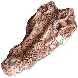 Декорація череп крокодила Terrario Crocodile Skull 30x14x9см (A15911) - мініатюра 4
