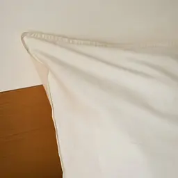 Наволочка MBM HOME Крига під сонцем 50x75см BL-P-21 крижаний (BL-P-21 ICE) - мініатюра 9