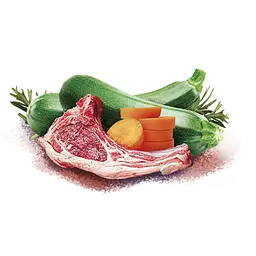 Вологий корм для дорослих собак Brit Care Christmas for Dogs Lamb with Carrots різдвяна вечеря з ягням та морквою, 400 г - мініатюра 2
