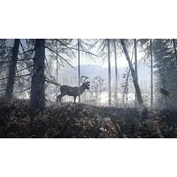 Ключ активації Microsoft TheHunter: Call of the Wild - Silver Bundle для Xbox One/Series - мініатюра 7